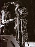 Steve Tyler Lead Singer of the Band Aerosmith in Concert at Pontiac Stadium, Detroit, USA, May 1976 Fotografiskt tryck Steve Tyler Lead Singer of the Band Aerosmith in Concert at Pontiac Stadium, Detroit, USA, May 1976 Fotografiskt tryck