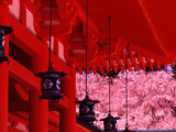 Heian Shrine in Spring, Shinto, Kyoto, Japan Photographie par Shin Terada