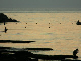 Men are Silhouetted Against the Sea as They Fish and Relax on the Beirut Coastline, August 24, 2006 Photographic Print by Matt Dunham