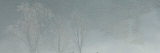 Four Cross-Counrty Skiers Ski Through a Winter Landscape Photographic Print