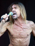 Iggy Pop August 2001 Performing on Stage at the Gig on the Green Festival in Glasgow Green Fotografie-Druck