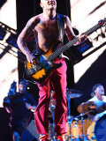 Red Hot Chilli Peppers at the Reading Festival, August 2008 Photographic Print