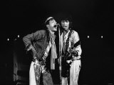 The Roling Stones: Mick Jagger Bill Wyman Lámina fotográfica