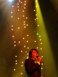 Bryan Ferry at the Newcastle City Hall, October 2002 Lámina fotográfica