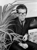 Elvis Costello Sitting Next to a Plant Lámina fotográfica