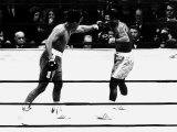 Joe Frazier vs Muhammad Ali Boxing, 1971 Lámina fotográfica Joe Frazier vs Muhammad Ali Boxing, 1971 Lámina fotográfica