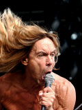 Iggy Pop on Stage at Glasgow Green, June 2004 Fotografie-Druck