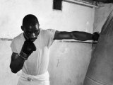 Randy Sandy. Boxer. Birth Date Fotografisk tryk Randy Sandy. Boxer. Birth Date Fotografisk tryk