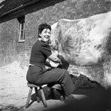 Jean Kent Milking a Cow Down on Farm at Hartfield. March 1948 Lámina fotográfica Jean Kent Milking a Cow Down on Farm at Hartfield. March 1948 Lámina fotográfica