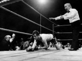 Referee Kurt Halbach Completes Full Count as Jimmy Batten looses European Light Middleweight Title Fotografisk tryk Referee Kurt Halbach Completes Full Count as Jimmy Batten looses European Light Middleweight Title Fotografisk tryk