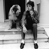 Paul Mccartney Singer with the Beatles at His St John's Wood House with His Pet Dog June 1967 Photographie