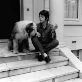Paul Mccartney Singer with the Beatles at His St John's Wood House with His Pet Dog June 1967 Photographic Print