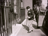 Winston Churchill Arriving at 10 Downing Street in the Summer of July 1952 Photographie