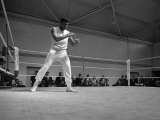 Cassius Clay Later to Become Muhammad Ali May 1966 Lámina fotográfica Cassius Clay Later to Become Muhammad Ali May 1966 Lámina fotográfica