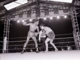 Boxing-Boxing Featherweight Champion of the World Lámina fotográfica