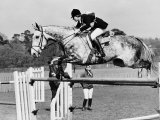 Columbus the Horse of Princess Anne Clearing Obstacale in Jumping Section of Windsor Horse Trials Photographic Print