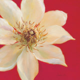 Contemporary Clematis Posters by Danhui Nai