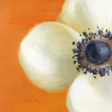 Contemporary Poppy Affiches par Danhui Nai