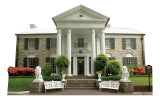 Graceland Stand Up