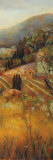 Vineyard in the Valley II Affiches par Marilyn Hageman
