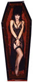 Elvira Coffinxx Stand Up