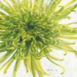 Contemproary Chrysanthemum Posters par Danhui Nai