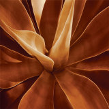 Santa Fe II Prints by Caroline Kelly