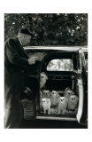 Les Chien du Marquis de Cuevas, Bois de Boulogne Posters par Robert Doisneau