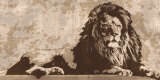 Lion Sztuka autor Andrew Cooper Lion Sztuka autor Andrew Cooper