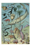 Oceanographie Prints
