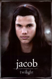 Crepúsculo Posters