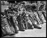 Golf Clubs At The Course Láminas