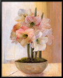 Striped Amaryllis Reprodukcje autor Peter McGowan