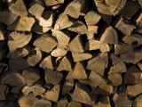 Close Up of a Pile of Firewood Photographic Print by Todd Gipstein