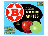 Fancy Grade Selected Tasmanian Apples Poster