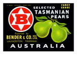 Bender and Co. Selected Tasmanian Pears Prints