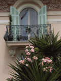 Wrought Iron Balcony and Shuttered Windows Above a Flowering Garden Photographic Print by David Evans