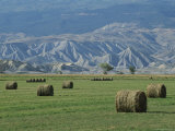 Round Alfalfa Hay Bales Rest in the Forefront Photographie par Bill Ellzey