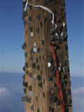 Coins Left Behind By Hikers are Embedded in a Shinto Shrine on Fuji Photographie par Karen Kasmauski