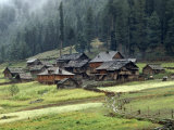 Kashmiri Village in Warwan Valley Beneath a Deodar Forest Lámina fotográfica por Gordon Wiltsie