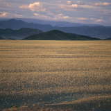 View of the Beginning of the Altai Range From the Gobi Desert Photographie par David Pluth