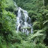 Waterfall in a Rainforest in Nyungwe National Park Photographie par David Pluth