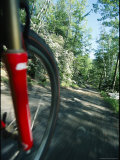 View of the Front Wheel of a Bicycle Speeding Along a Dirt Trail Photographie par Skip Brown