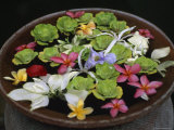 Flower Blossoms Arranged in a Bowl of Water Photographie par Jodi Cobb