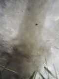 This May Be the Closest Photograph Ever Taken of a Tornado Photographie par Carsten Peter