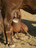 Himba Woman Milks a Cow in Opuwo, Namibia Photographic Print by Joy Tessman