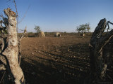 Shelters Made Out of Cow Dung and Sticks by the Himba Tribespeople Photographie par Joy Tessman