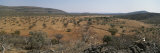 Scenic View of the Landscape in Namibia Photographic Print by Joy Tessman