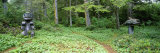 Killer Whale and Black Bear Totem Poles in Kasaan Totem Park, Alaska Photographic Print by Rich Reid