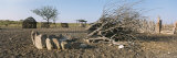 Clump of Rocks and Cut Trees Lie on the Ground in a Himba Community Photographie par Joy Tessman